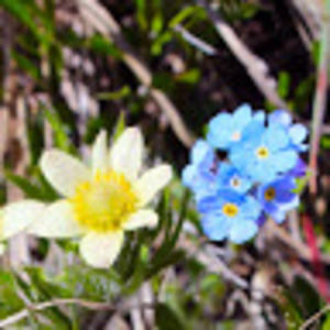 Meet your Posher, Sheila